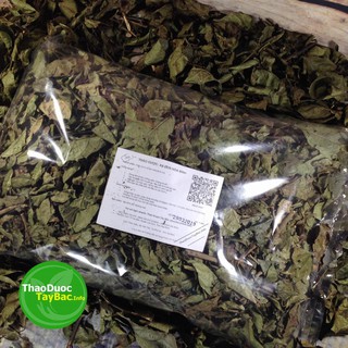 [FreeShip] Cây Xạ Đen - Hàng Rừng