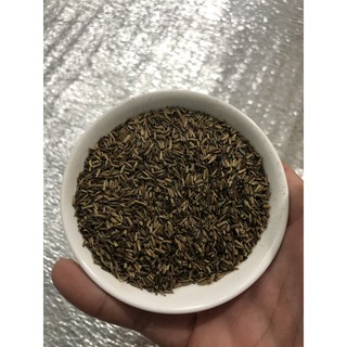 Hạt Giống Cúc chi Mix 50 Hạt/ Gói