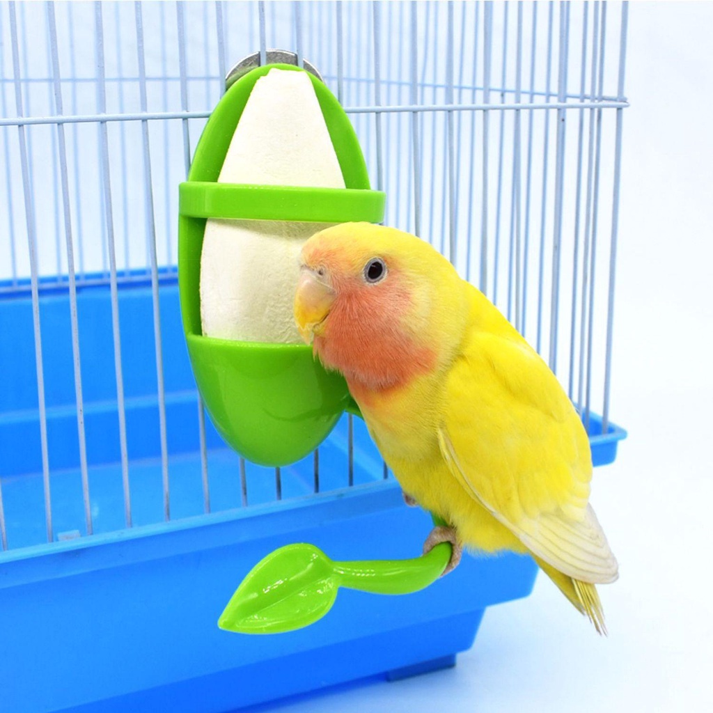 Dụng Cụ Cho Chim Vẹt Ăn Bằng Nhựa Màu Xanh Lá