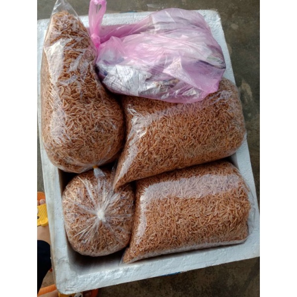 Ruốc Quãng Ngãi 500gram  [có Video] | BigBuy360 - bigbuy360.vn