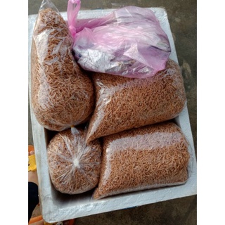 Ruốc Quãng Ngãi 500gram  [có Video]