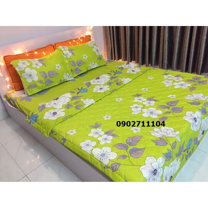 Bộ ga cotton korea
