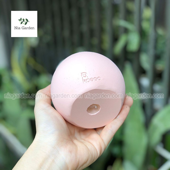 Chậu nhựa trồng sen đá xương rồng mini hình thỏ chó Shiba kỳ lân voi Nia Garden N4