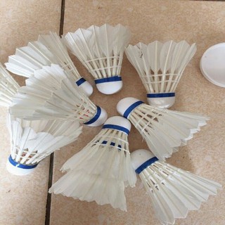 CẦU LÔNG HOÀNG ĐẾ