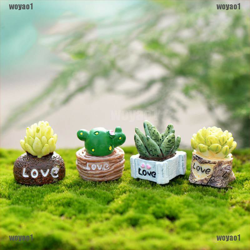 Set 4 cây cảnh mini trang trí tiểu cảnh DIY, bể cá, terrarium