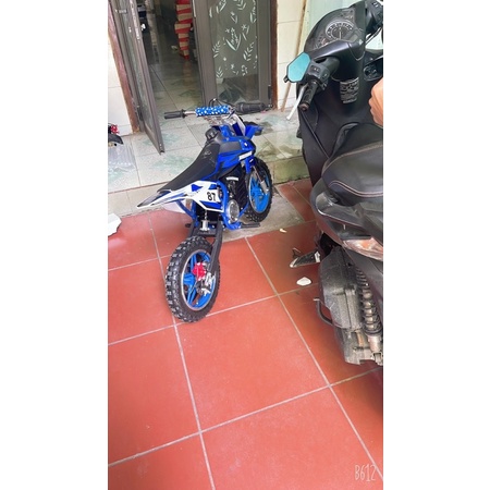 Xe cào cào châu âu 36v500w