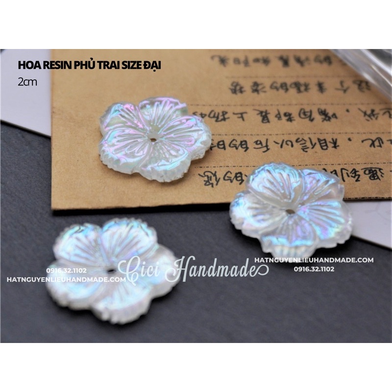 túi 5 Hoa resin phủ trai size 2 cm nguyên liệu hoa tai DIY