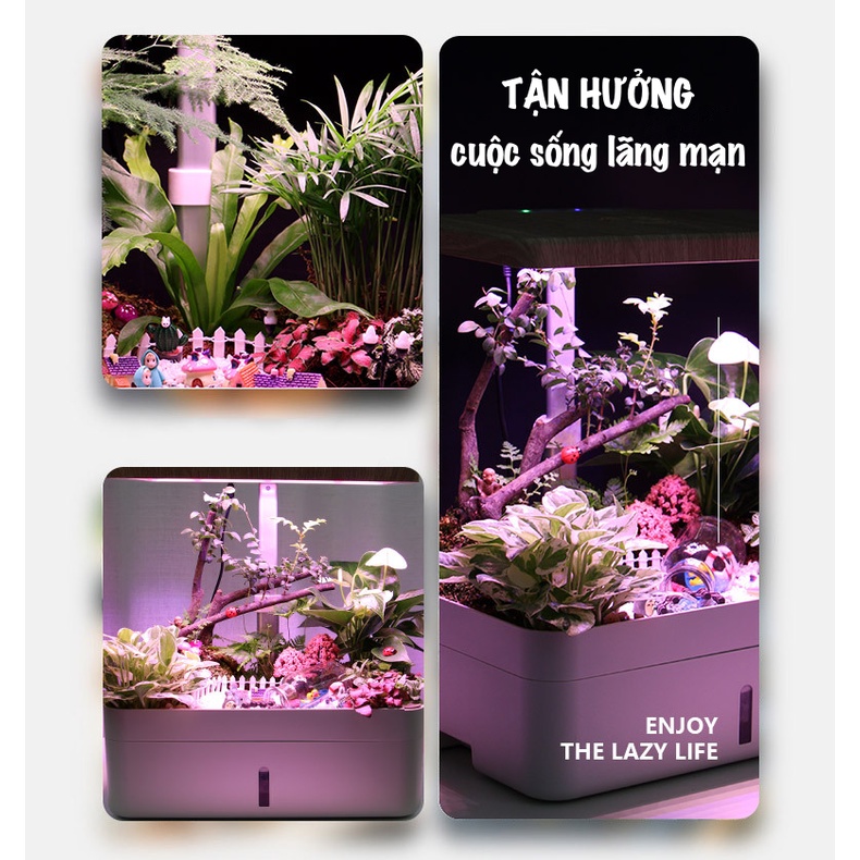 Chậu trồng cây thông minh Oliz Z204. Có chức năng tự dưỡng cây và đèn Led cung cấp ánh sáng cho cây quang hợp