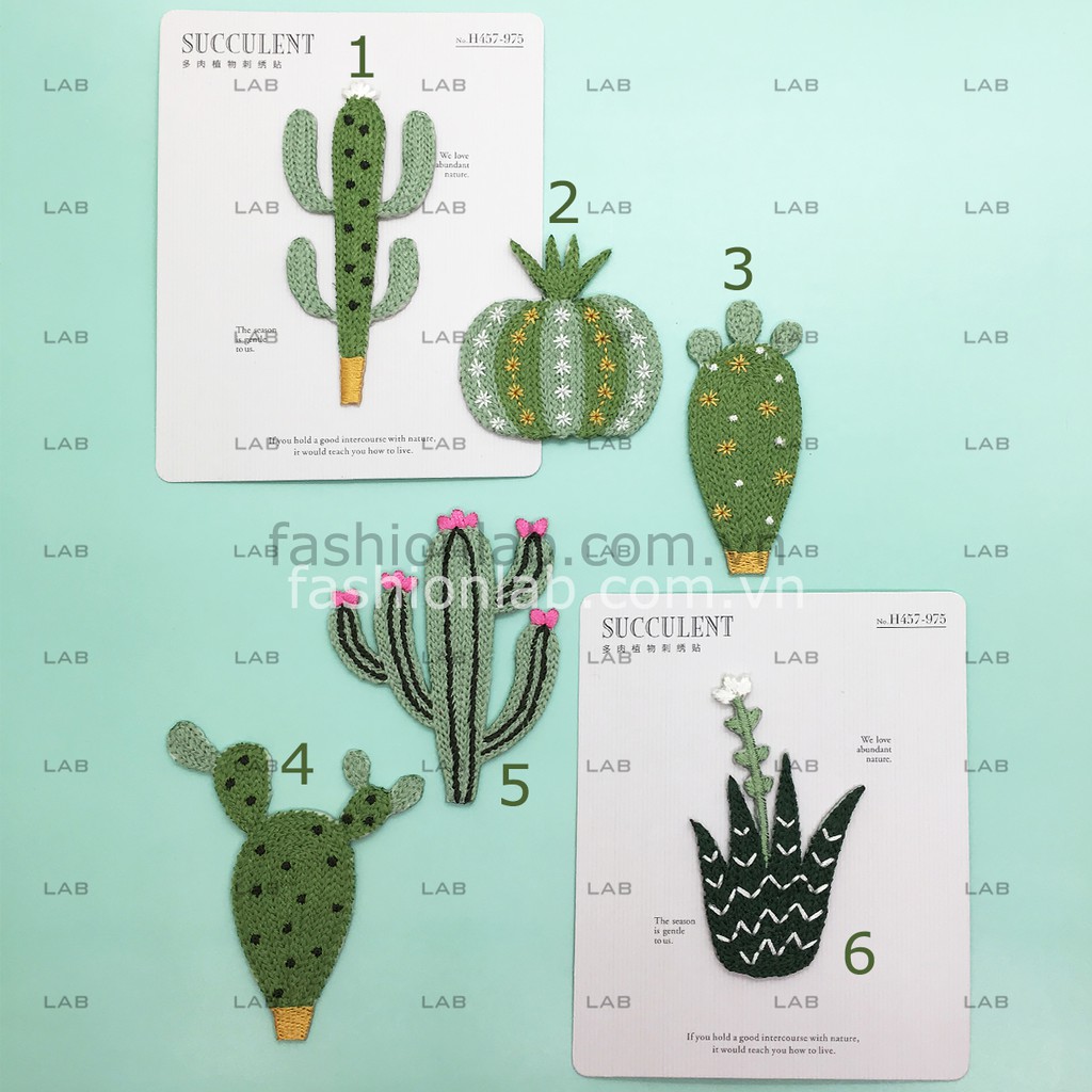 Hình thêu xương rồng keo ủi trang trí trang phục (1pc) #0205