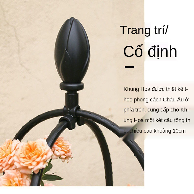 Kiểu dáng Châu Âu cây leo giàn hoa dây giá đỡ bằng sắt rèn nhựa bọc hồng clematis trang trí cột chống sàn ban côn