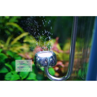 SỦI CO2 INOX CHIHIROS cho bể thủy sinh