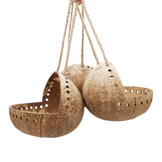 Tổ ngủ gáo dừa