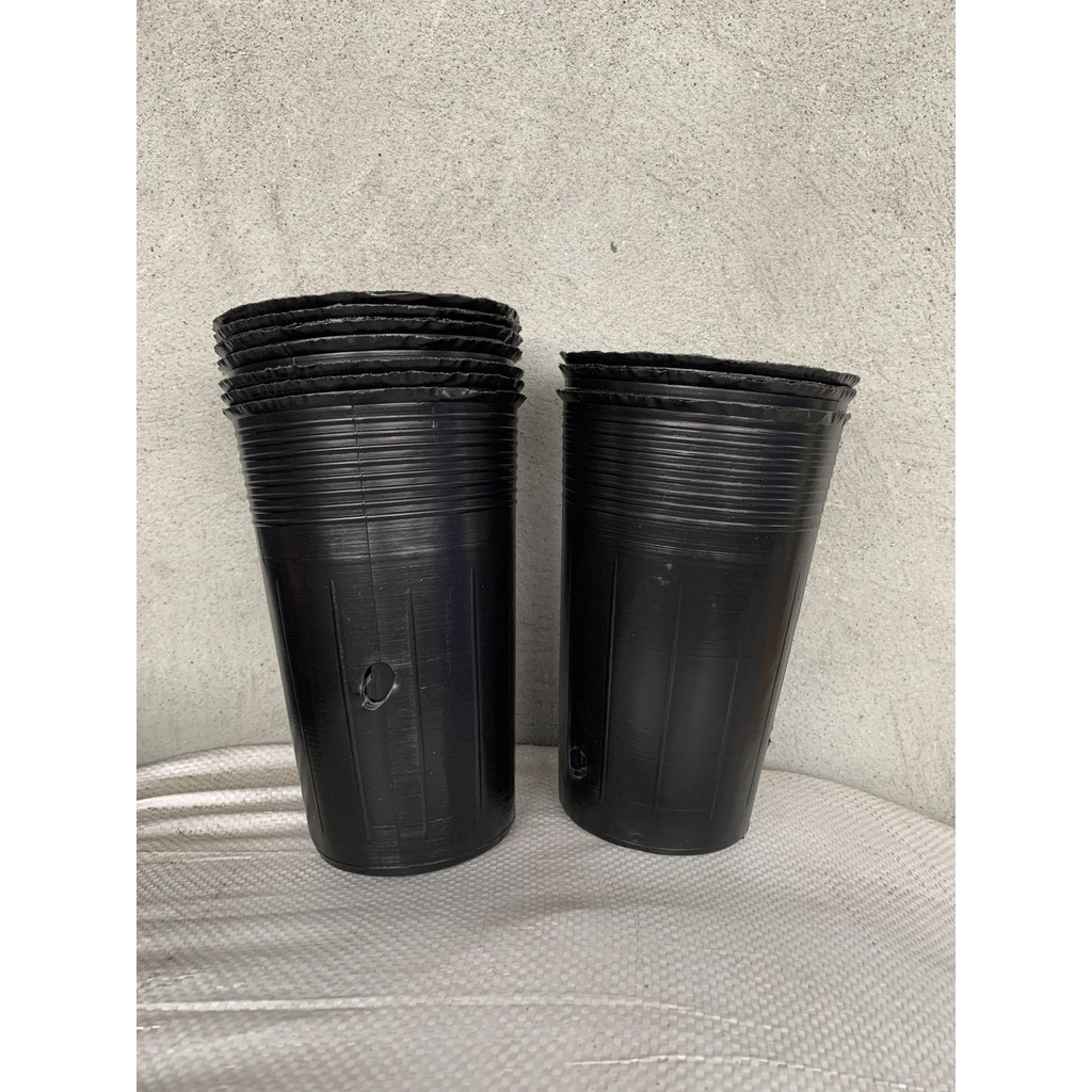 BẦU ƯƠM CÂY GIỐNG MÃ C15 (VIÊN NÉN XƠ DỪA, BẠT PHỦ ĐẤT CHỐNG CỎ, KEO LIỀN SẸO CÂY...)