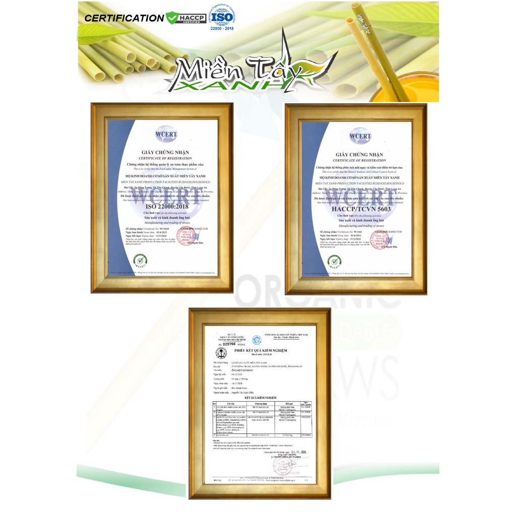 HỘP 500 ỐNG COFFE 15CM  Ống Hút cỏ bàng khô MIỀN TÂY XANH - Chứng nhận ISO 22000-HACCP-OCOP