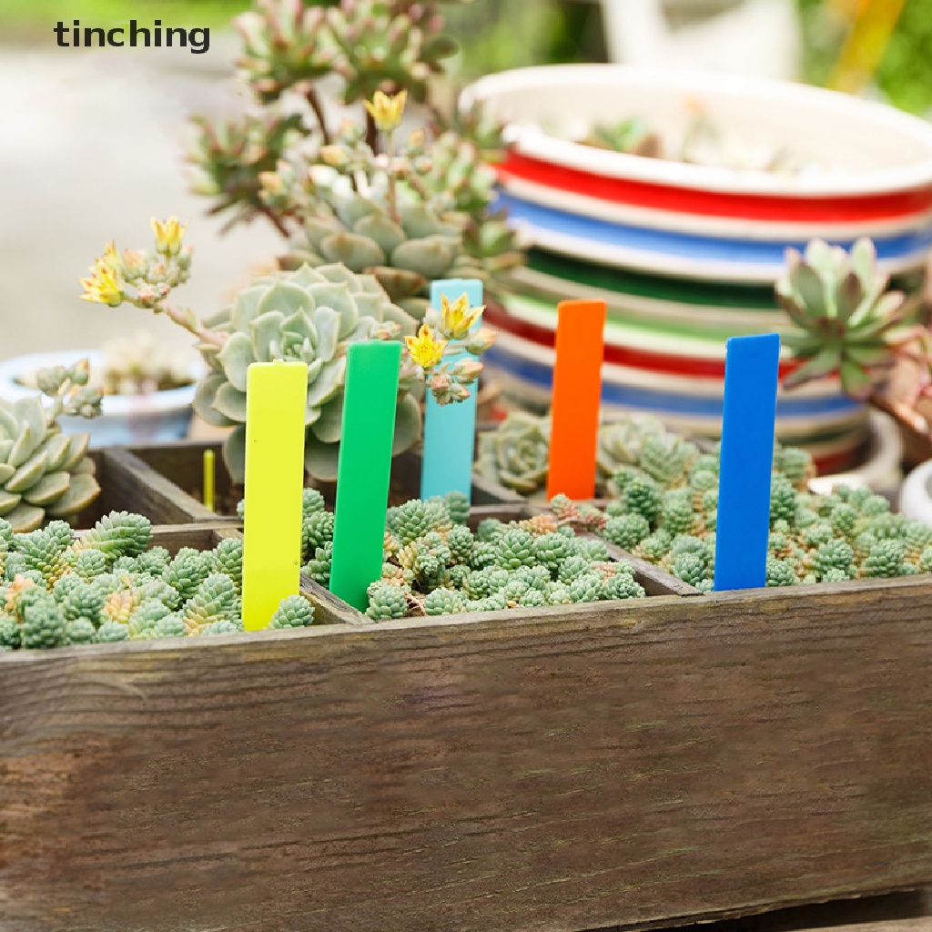 100 tag đánh dấu cây trồng 10x2cm bằng nhựa mới