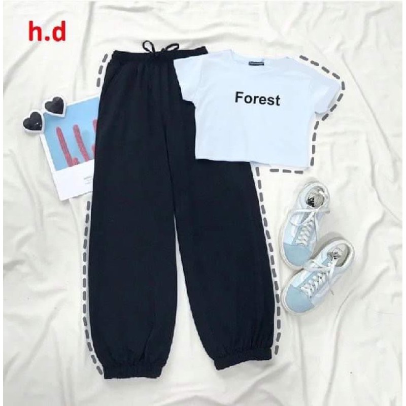 Sét áo foret+quần bom HĐ12