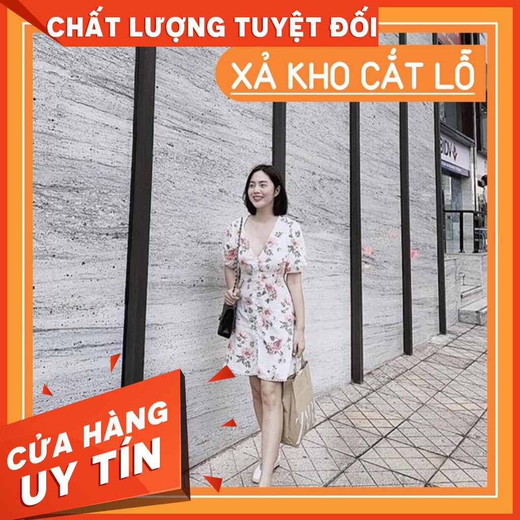 Váy Zara xuất hoạ tiết hoa hồng