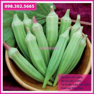 Hạt giống đậu bắp xanh f1 ấn độ 10gr