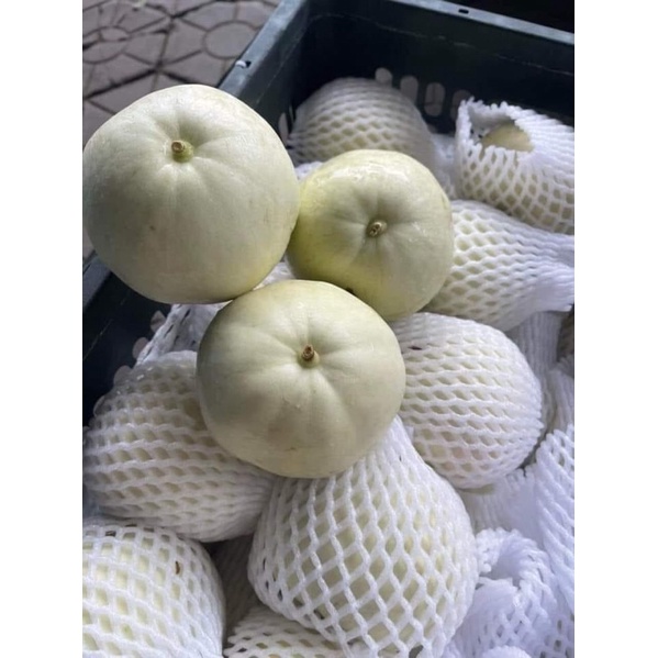 Dưa Lê Ninh Thuận Bao Ngon