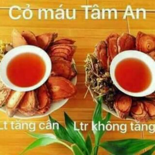 Cỏ máu tâm an