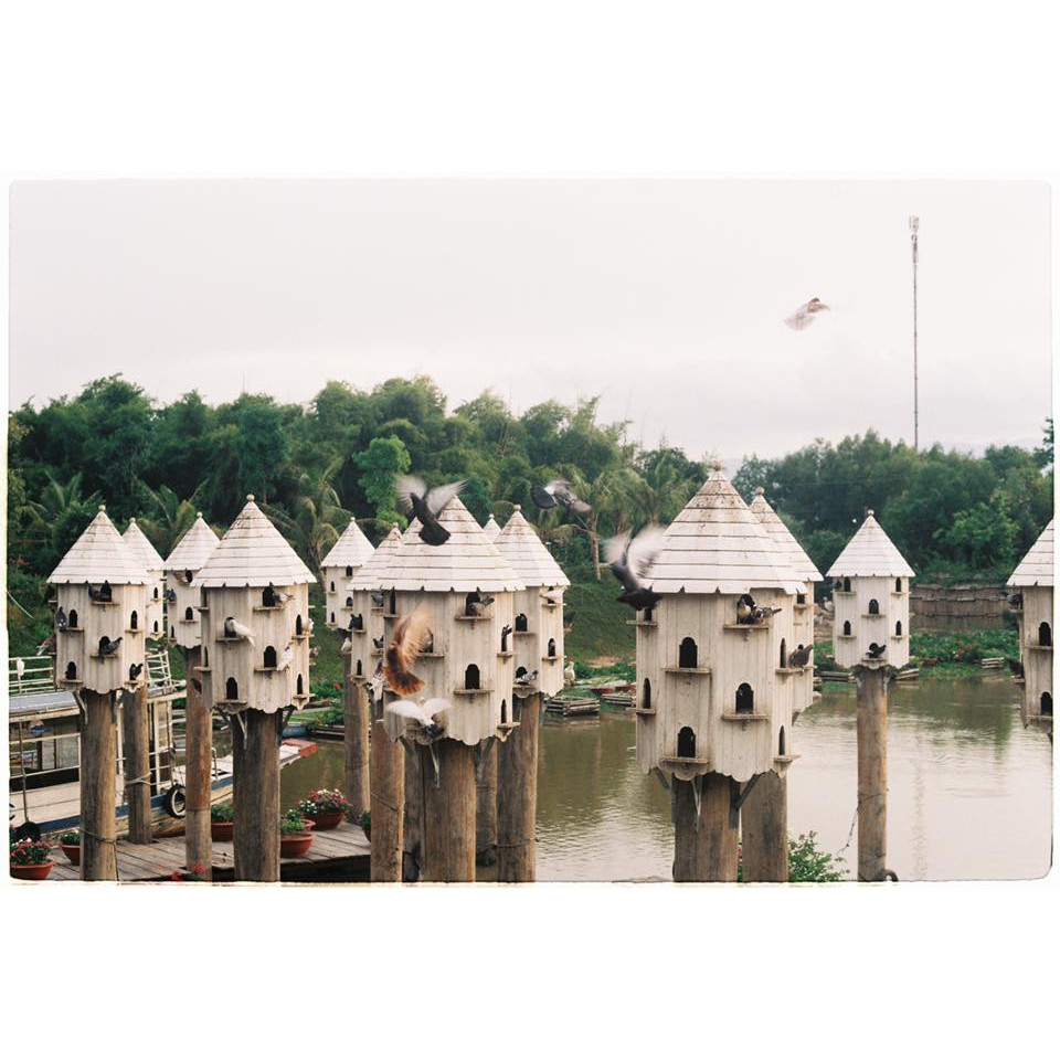 [Fuji C200] - Film 135 (35mm) giá rẻ, indate mới nhất 03/2025, 36 kiểu, hàng US (Phim máy ảnh)