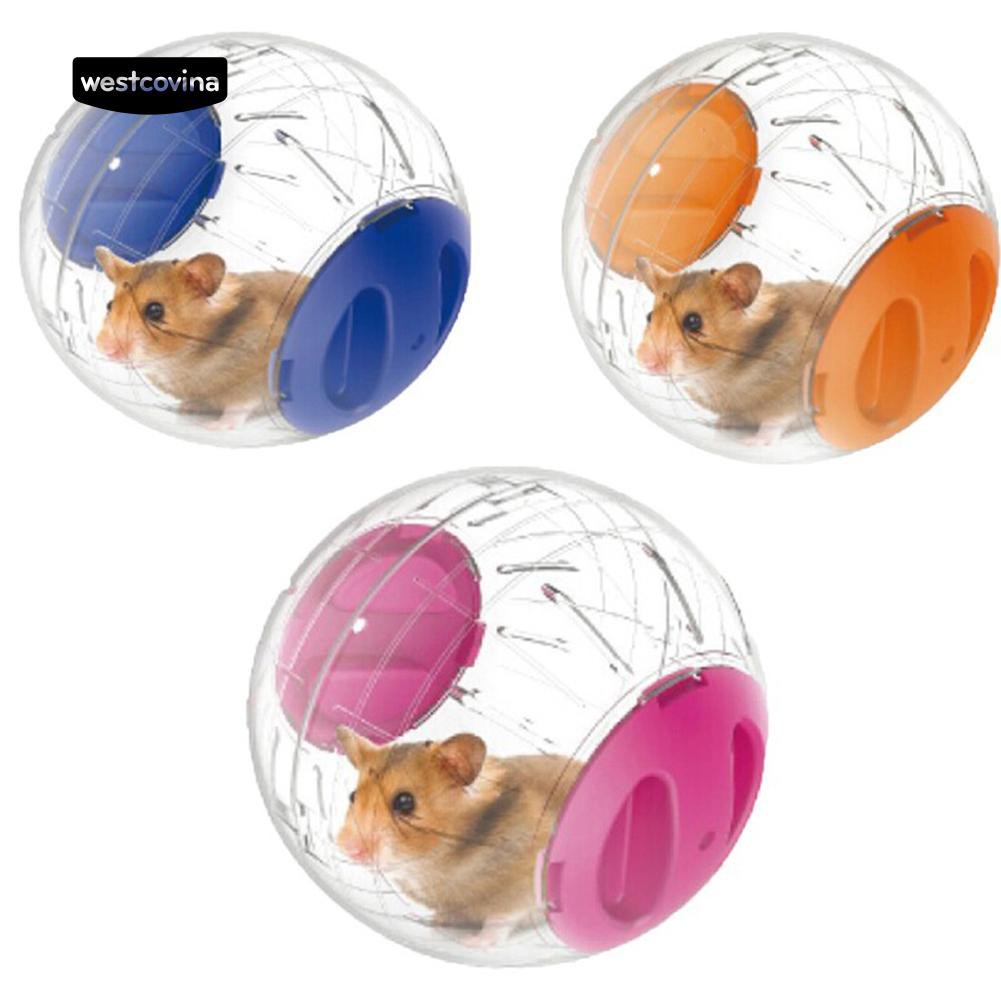 Bóng lăn đồ chơi cho chuột Hamster