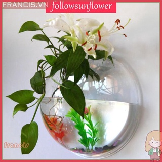 Bể Cá Thu Nhỏ Treo Tường Trang Trí Không Gian Độc Đáo