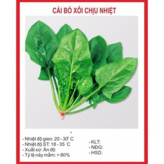 Hạt giống cải bó xôi 20gr ~2500 hạt