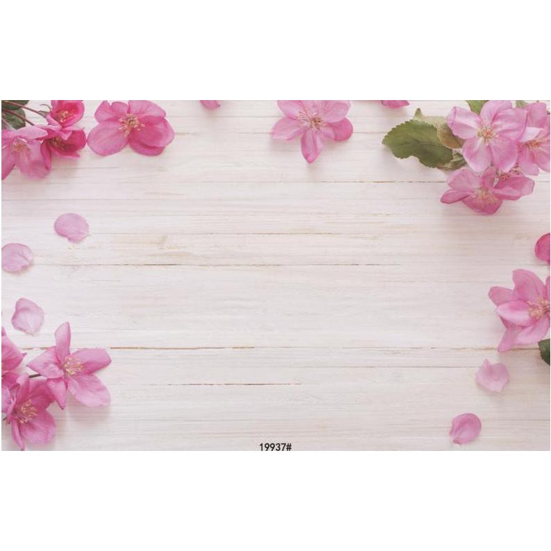 Phông nền chụp ảnh sản phẩm sắc nét 80 x 125cm | BigBuy360 - bigbuy360.vn