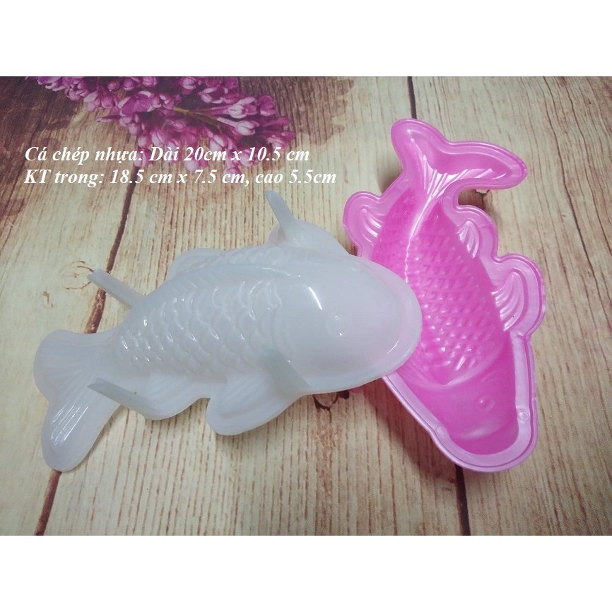 Khuôn rau cau, ép xôi hình cá chép 20-26cm
