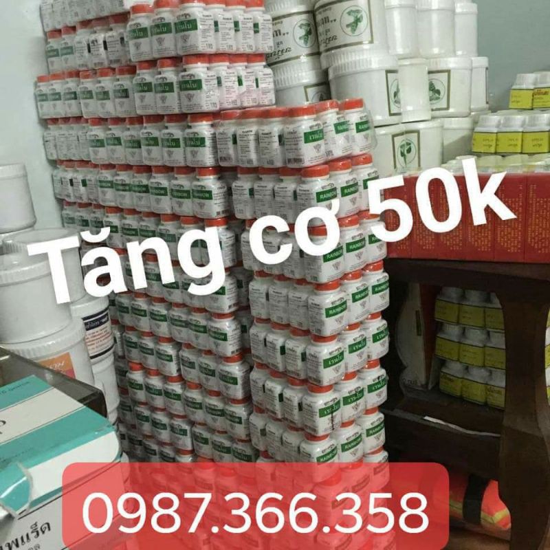 tăng cơ rainbow thái lan | BigBuy360 - bigbuy360.vn