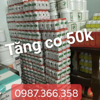 tăng cơ rainbow thái lan