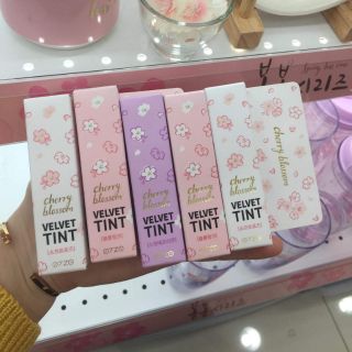 Son cherry blossom velvet tint hàn quốc