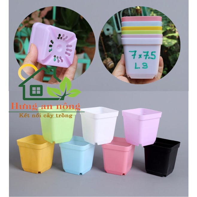 L 3 - Combo 50 chậu vuông trồng sen đá bonsai xương rồng có 7 màu chọn 7x7x7,5cm