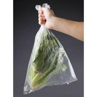 TÚI ĐỰNG THỰC PHẨM TỰ HỦY SINH HỌC