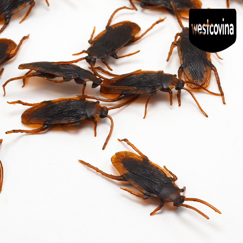 [Hot]☀ 20 Con Gián Giả Trang Trí Halloween