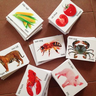 Thẻ học cho bé mã Nice9