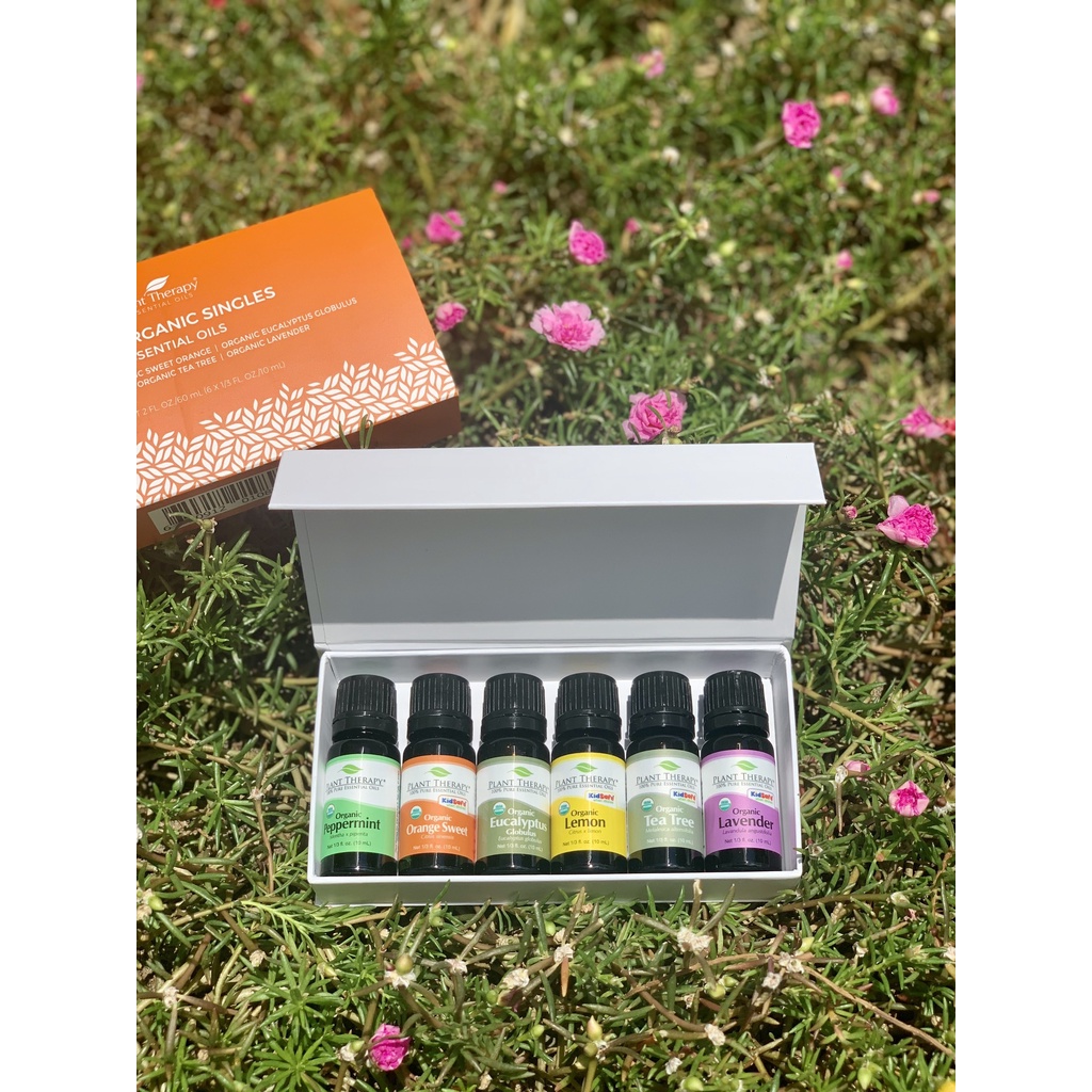 Plant therapy set tinh dầu organic căn bản