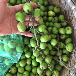 Quả sung nếp 1kg