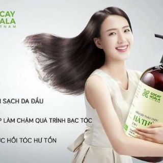 Dầu gội Thảo dược Hà thủ Ô