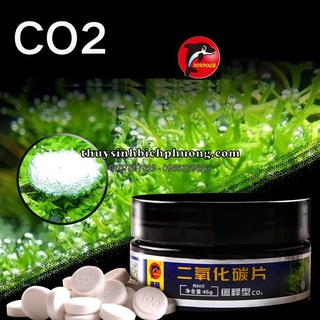 1 HỦ VIÊN NÉN 60 VIÊN SỦI CO2 HIỆU CÁ HEO | CUNG CẤP CO2 TỐT CHO HỒ THỦY SINH