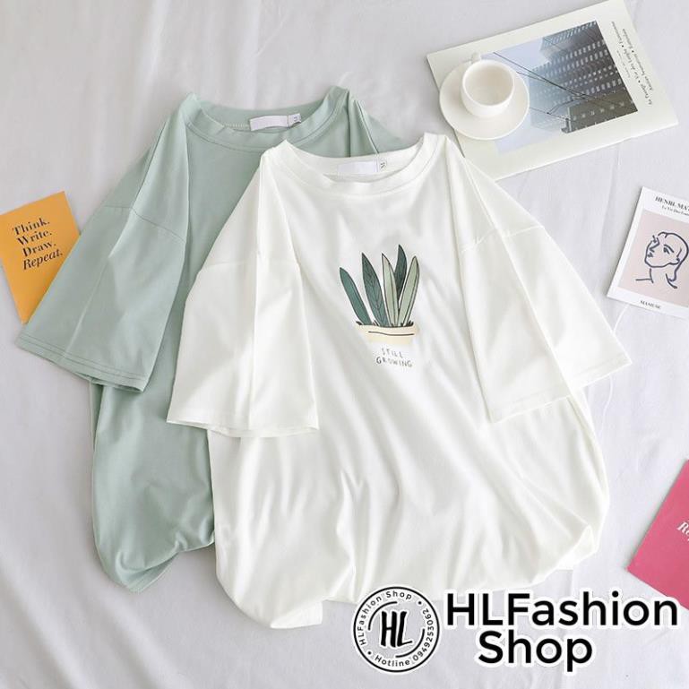 Áo thun tay lỡ form rộng 5 lá cây still growing kute phô mai, áo phông form rộng HLFashion *