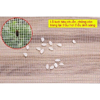 Lưới chống muỗi và côn trùng sợi thủy tinh