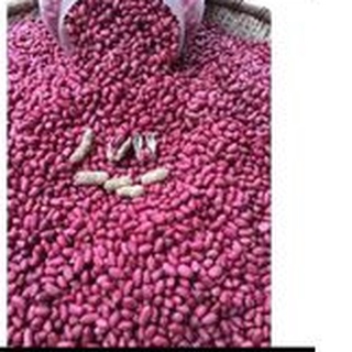 Lac Đỏ và lạc Trắng bóc tay loại 1