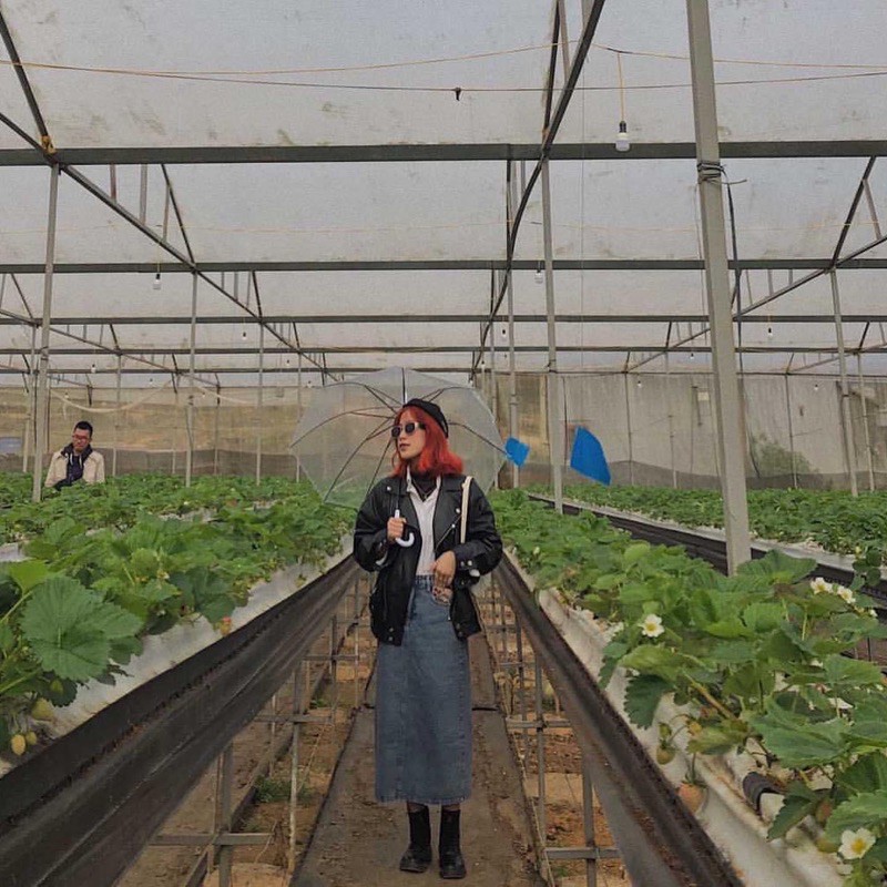 CV JEANS MS1 | BigBuy360 - bigbuy360.vn