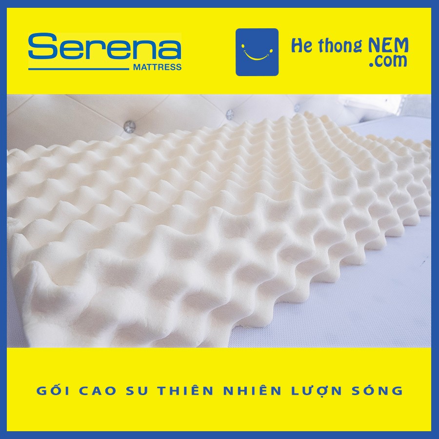 T1 Gối Massage cao su thiên nhiên cao cấp SERENA Convoluted 50x70 lượn sóng - Hệ Thống Nệm