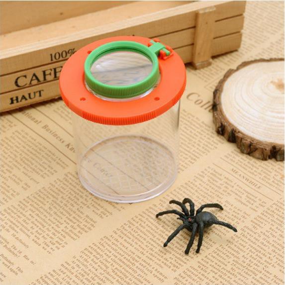 Hộp đựng quan sát côn trùng