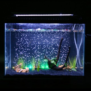 Đèn LED sủi bọt khí cho bể cá