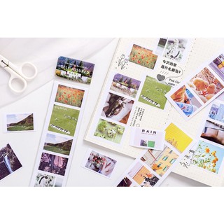 Sticker dán Nhãn dán hình ảnh ST069 ST094