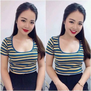 Áo zara sọc